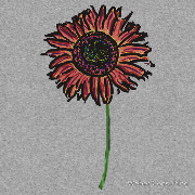 Red Himawari - Zen Sunflower